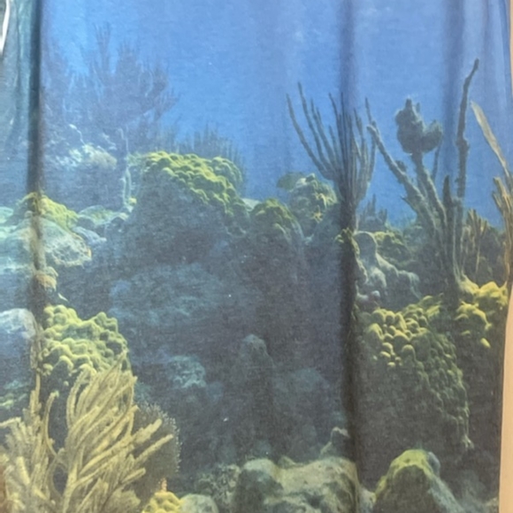 Shark shirt- NWOT - Picture 2 of 5